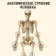 Проведение МРТ суставов в Химках
